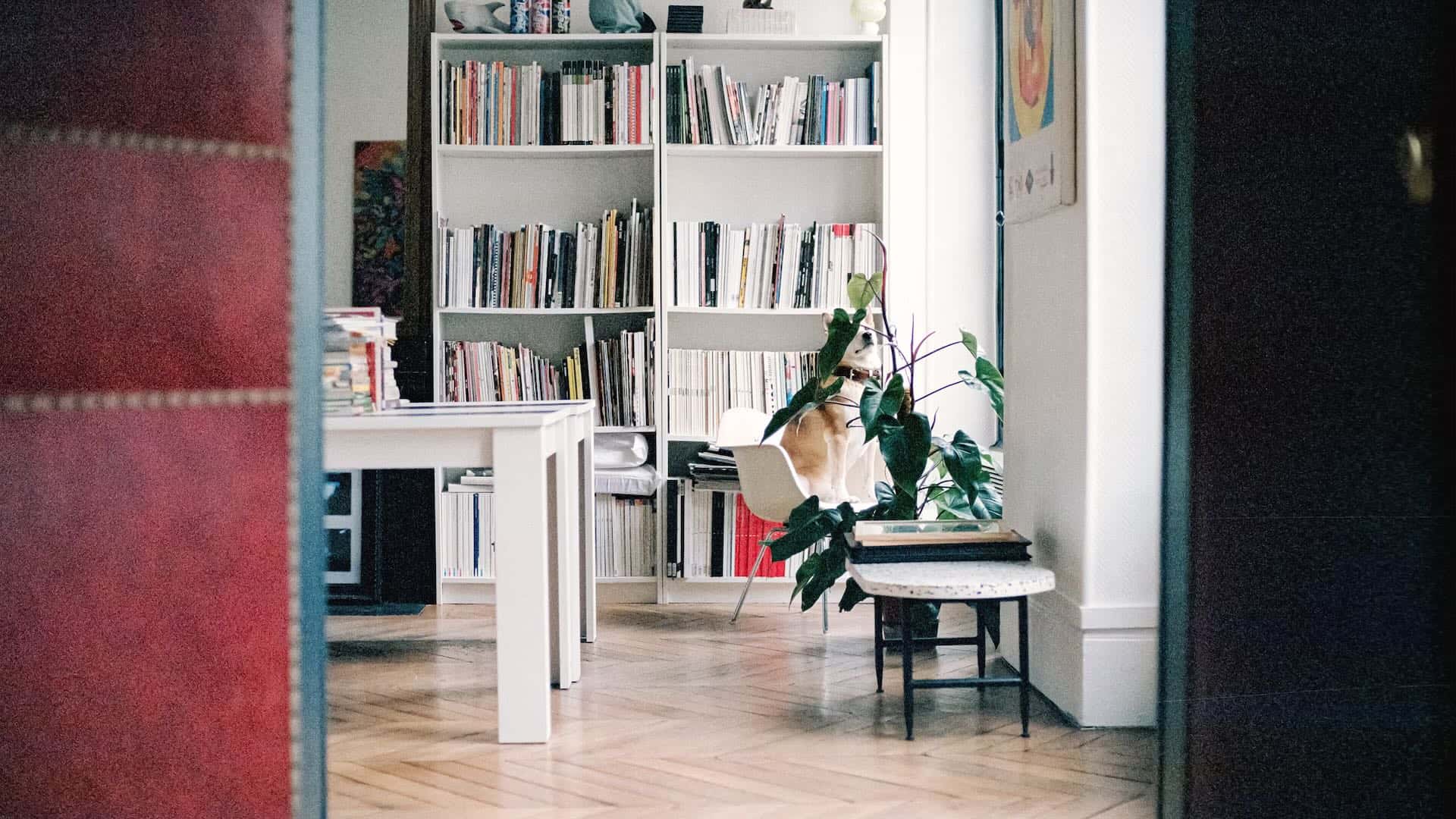 John Vÿ - Art Director and Creative Developer working in his studio in Bordeaux, France